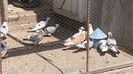 20150520_142826