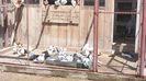 20150520_130535