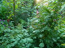 DSCN7064