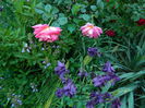 DSCN7073
