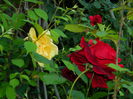 DSCN7077
