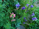 DSCN7102