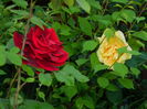 DSCN7126