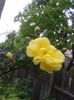 20150513_160239[1]