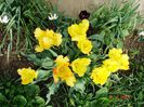 DSC08320