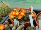 DSC08477