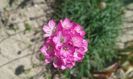20150513_152812