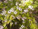 P1240049