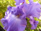 P1240052
