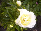 P1240055
