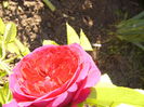 P1240056