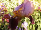 P1240058