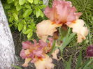 P1240075