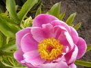 P1240077