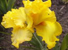 P1240079
