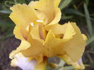 P1240097