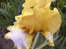 P1240098