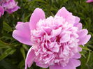 P1240107