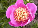 P1240110