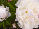 P1240114