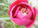 P1240115
