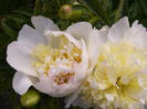 P1240121