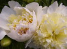 P1240122