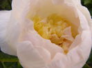 P1240123