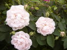 P1240126