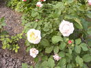 P1240139