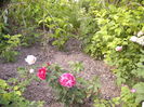 P1240140