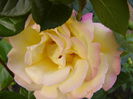 P1240142
