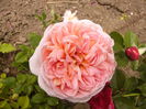 P1240151