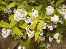 P1240153