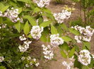 P1240154