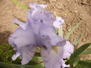 P1240162