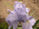 P1240163