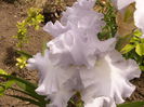 P1240164