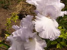 P1240166