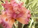 P1240169