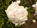 P1240172