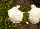P1240174
