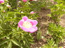 P1240181
