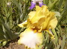 P1240186