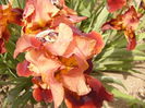 P1240195