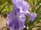 P1240203