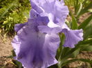 P1240204