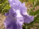 P1240205