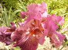 P1240206
