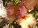 P1240208